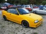 Steinsdays 2010
